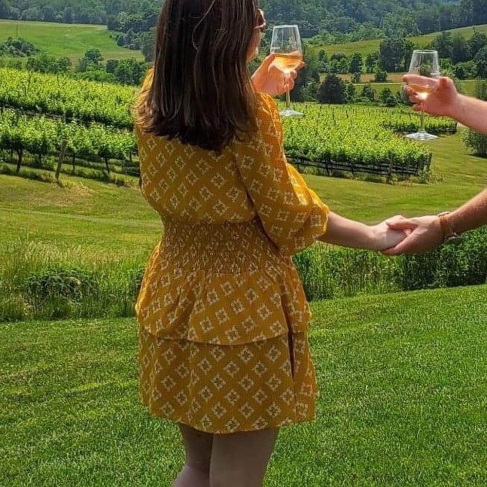 Francesca flowy mini dress